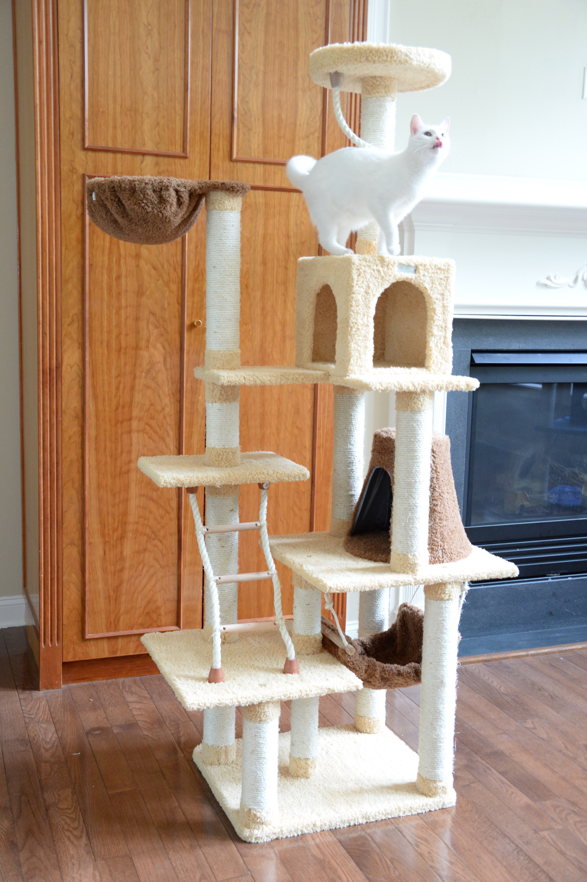 premium cat trees