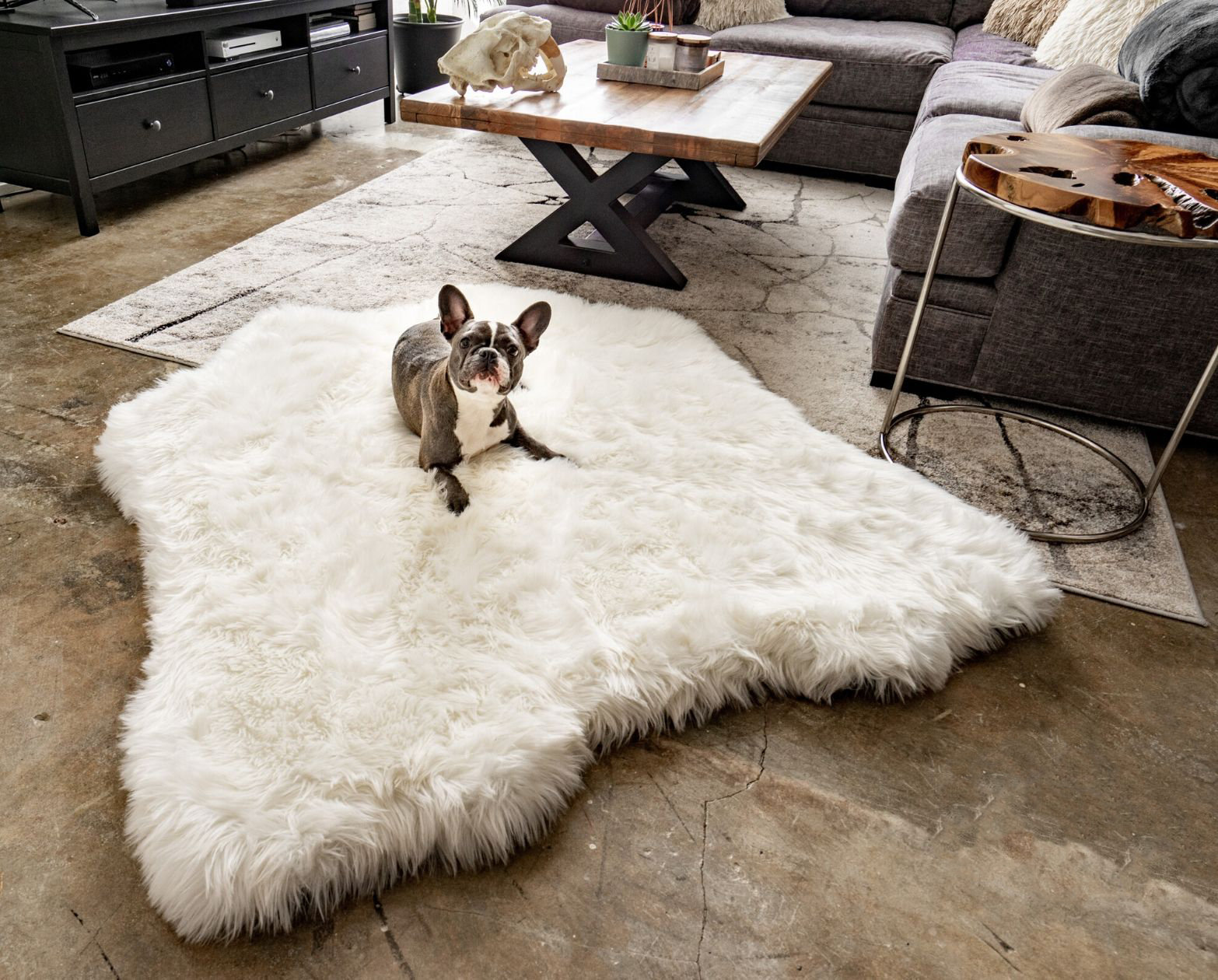 memory foam dog rug