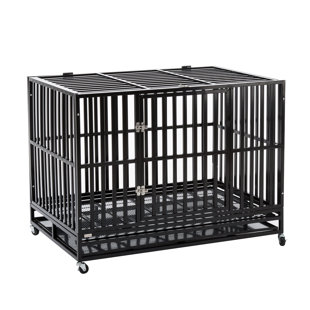 general cage dog crates