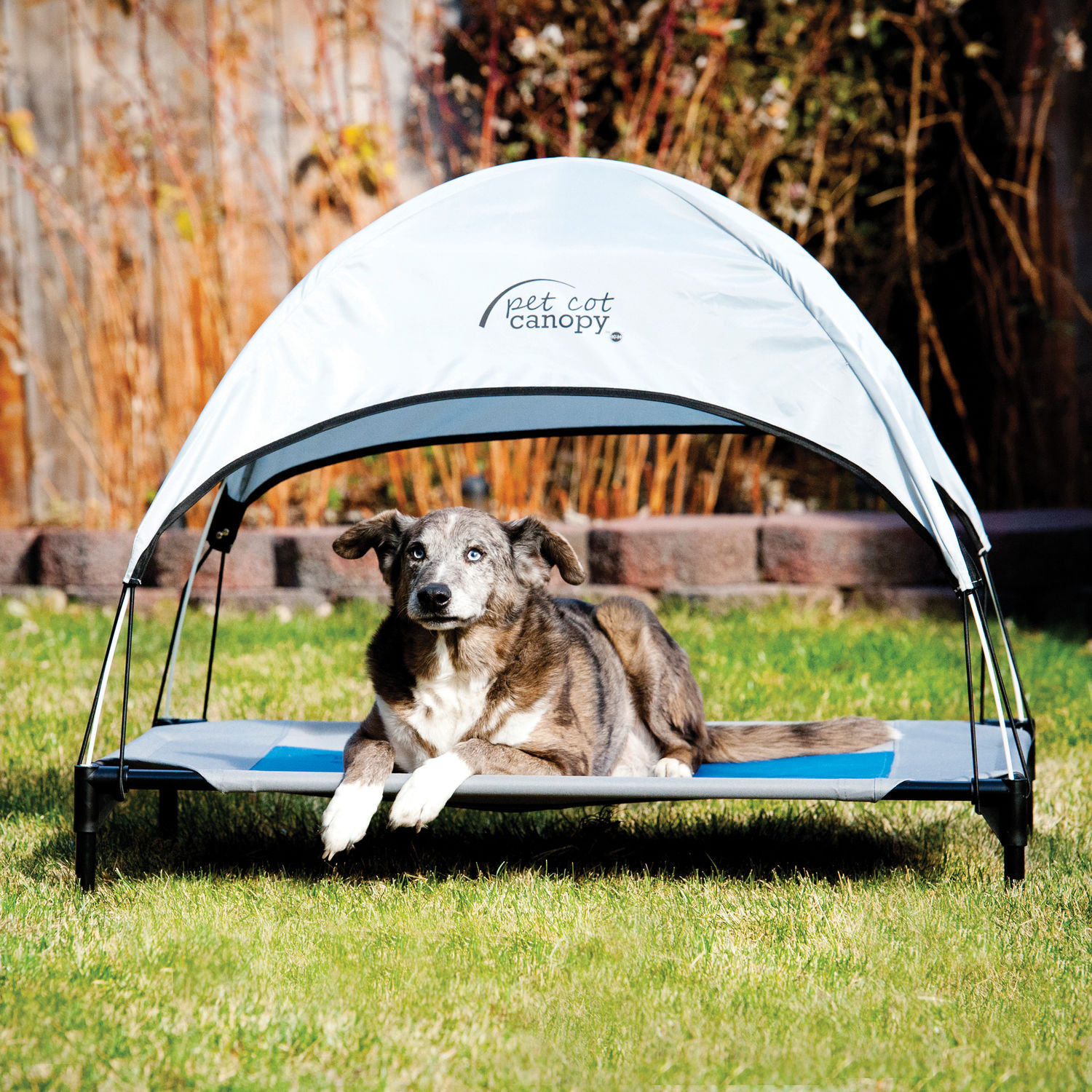 pet cot and canopy