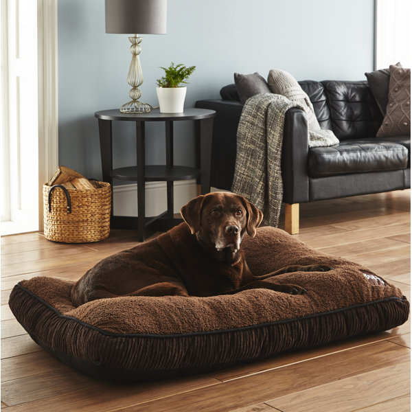 big snug dog bed