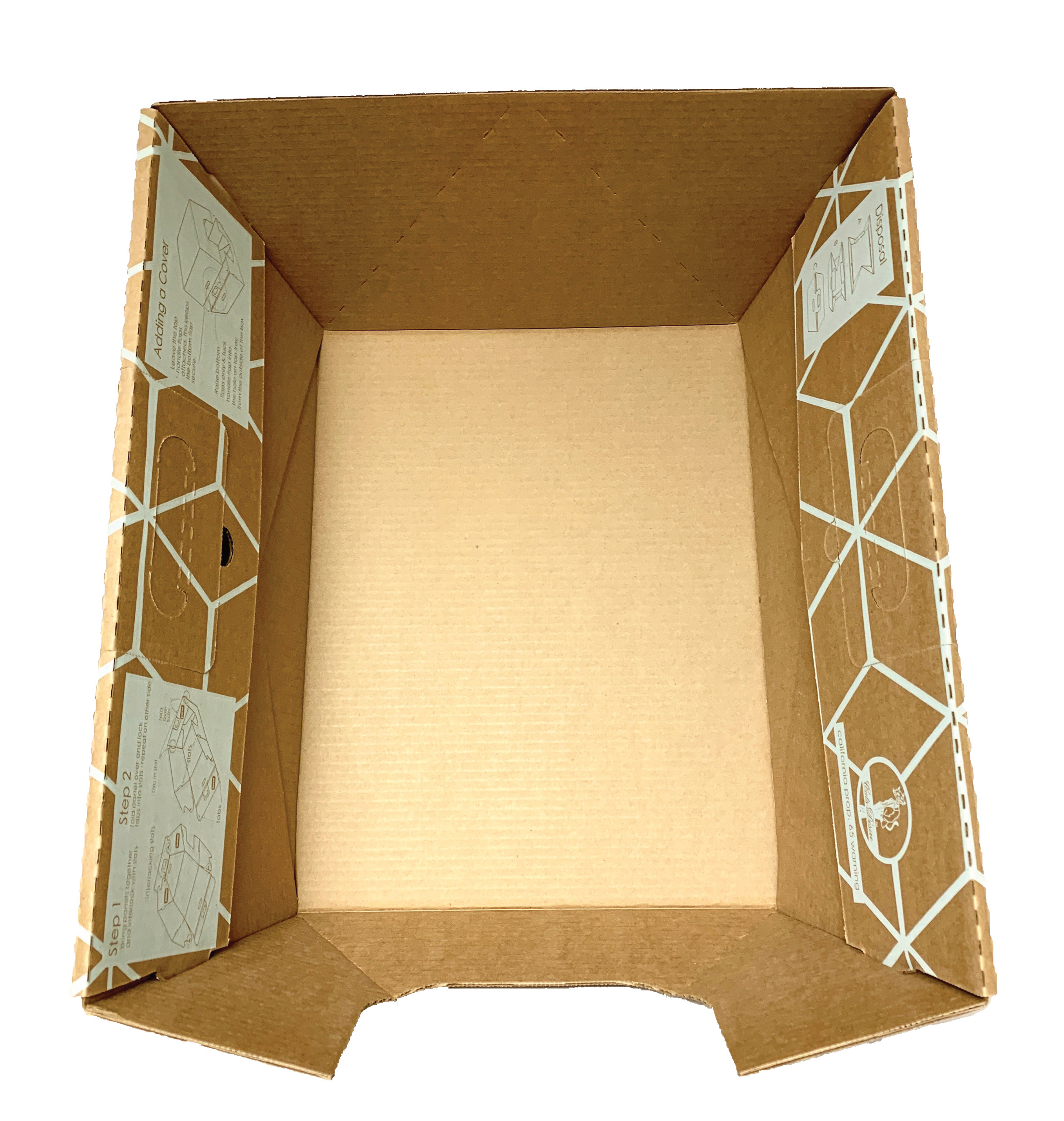 biodegradable litter box