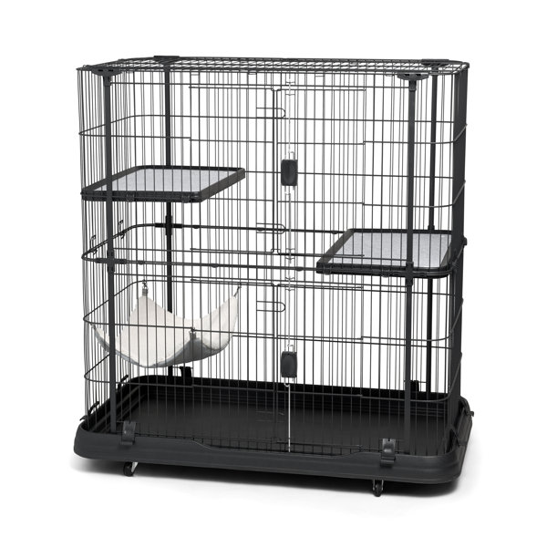 big cat crate