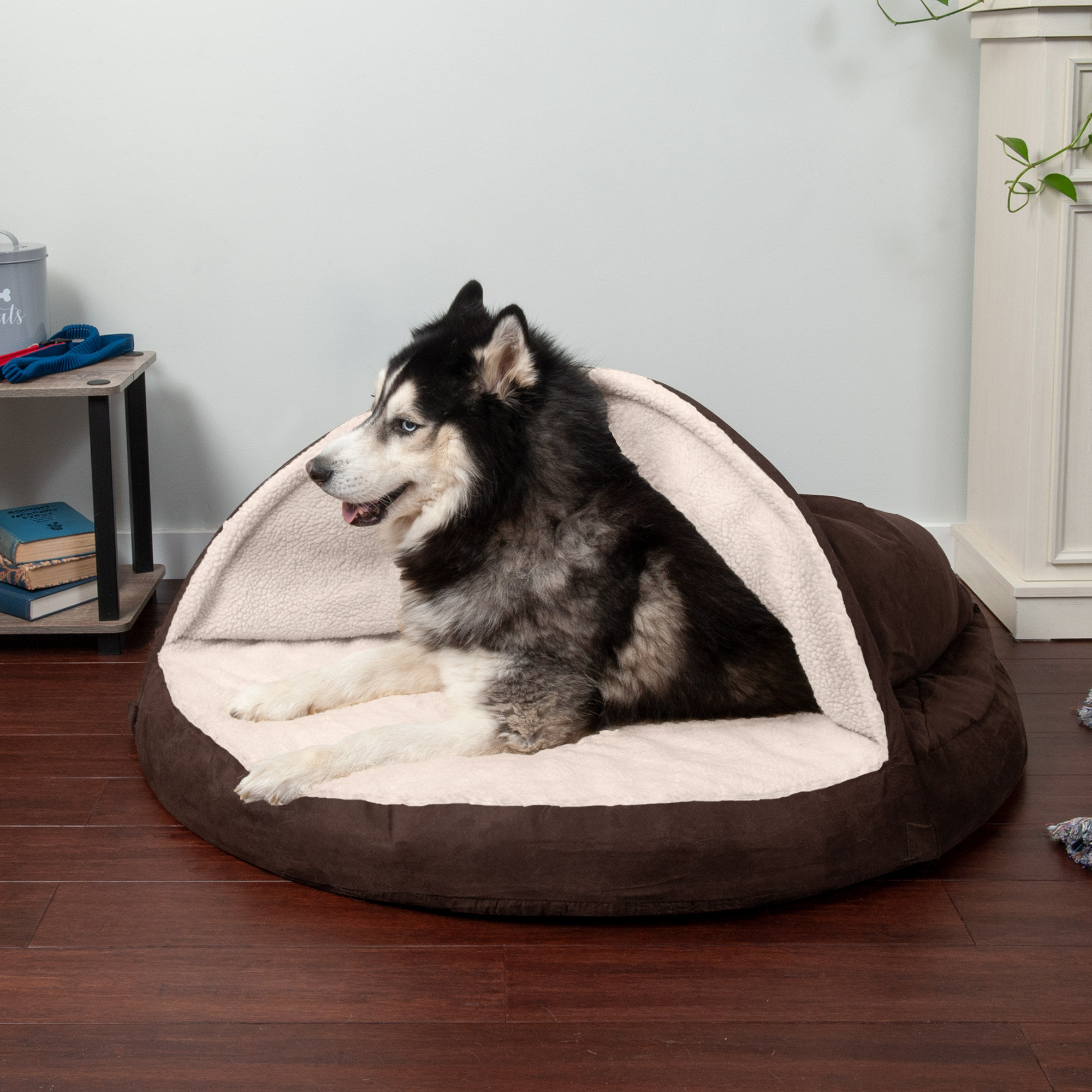 x large dog bed