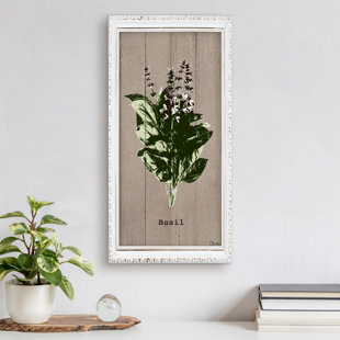 Basil by Olivia Rose - Wrapped Canvas
