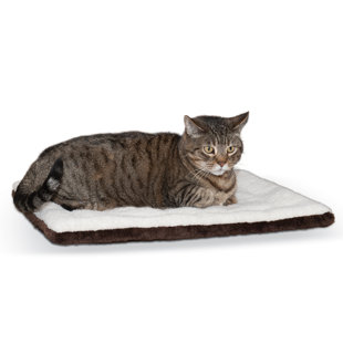 wayfair cat beds
