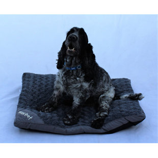 best dog bed covers