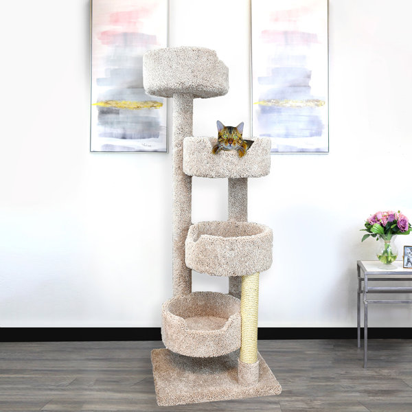 cat condo canada