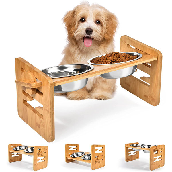 large dog feeder