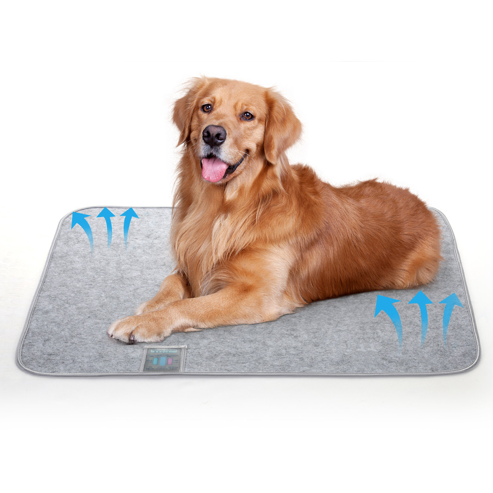 30x40 dog bed