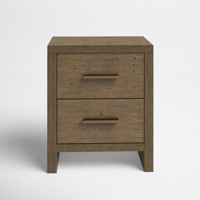 Nikolas 2 Drawer Nightstand by Mercury Row