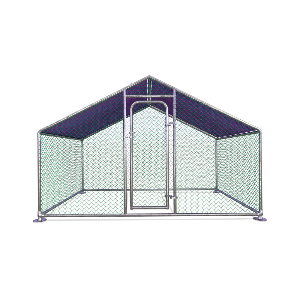 chicken wire dog run