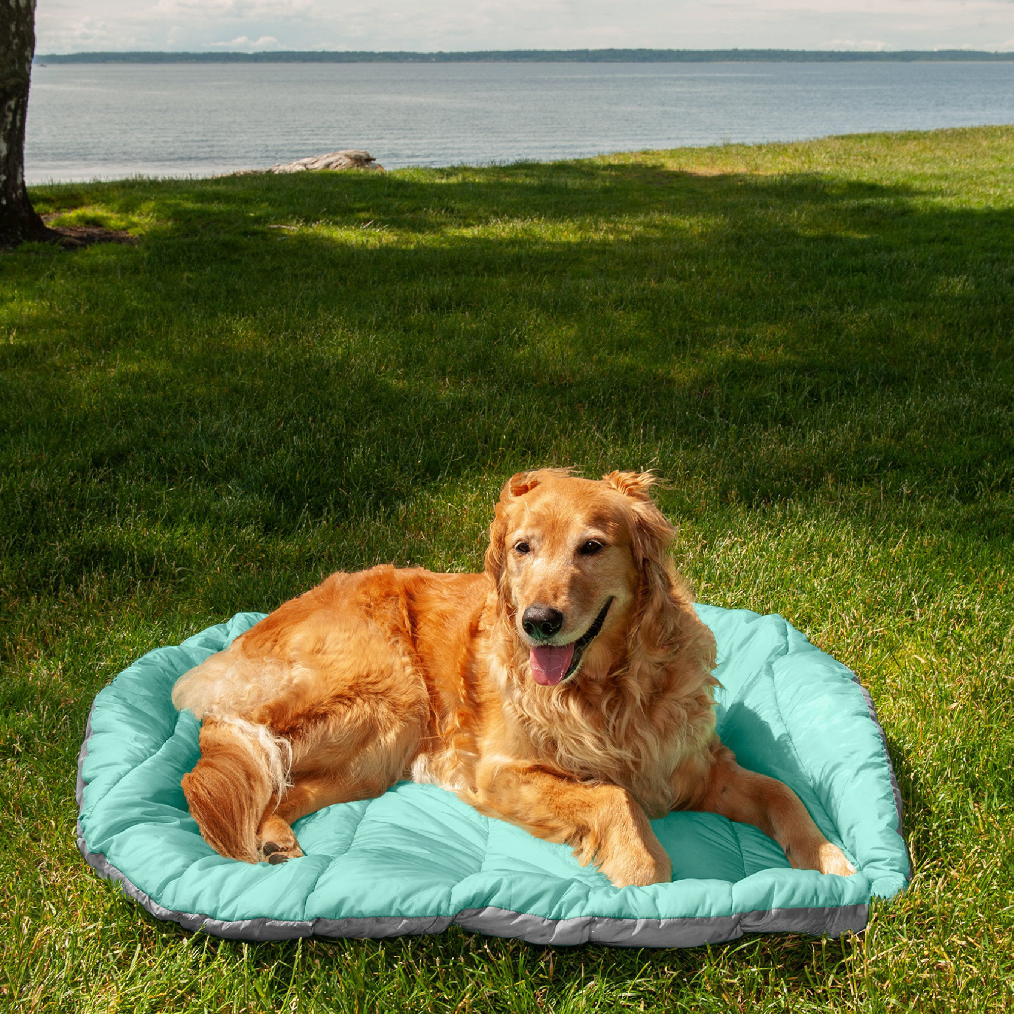 dog bed sack
