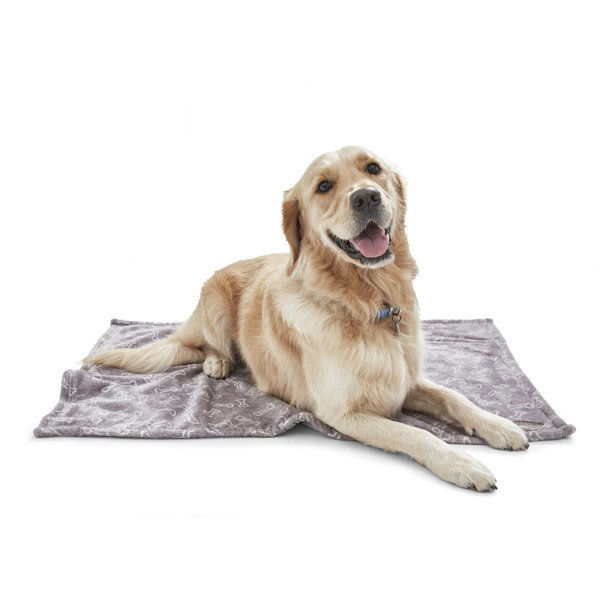 waterproof dog throw
