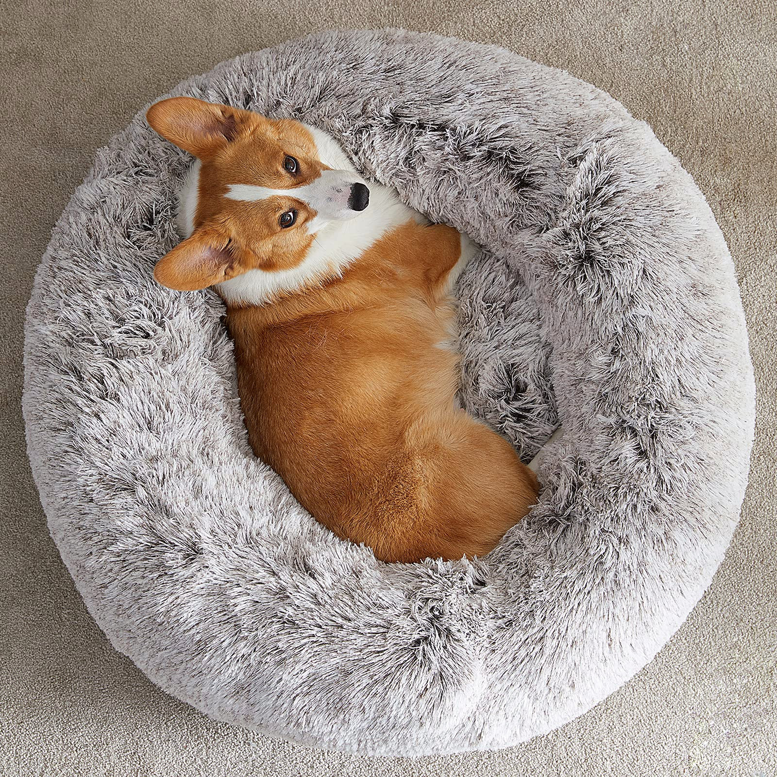 fluffy calming dog bed