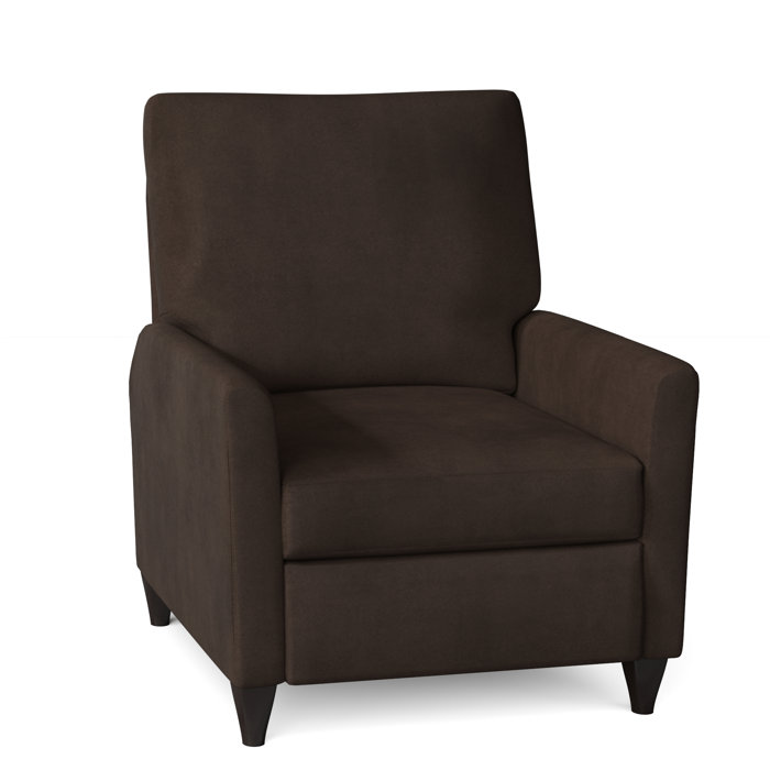 Wade Logan Ziolkowski 31" Wide Manual Recliner