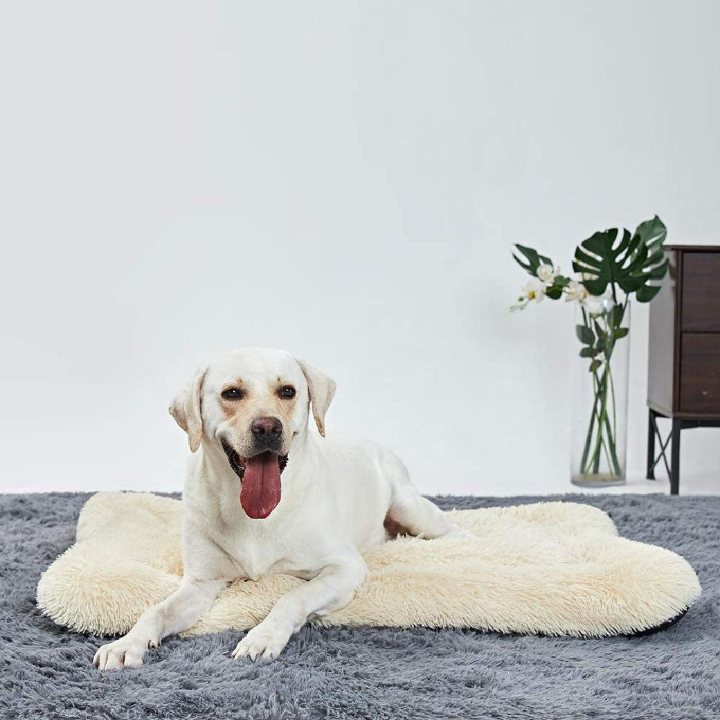 small dog crate pad