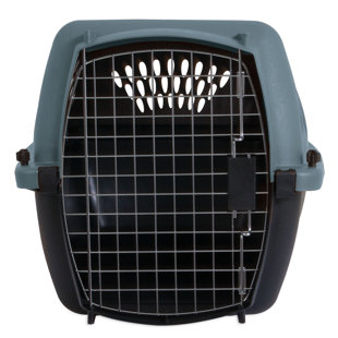 top loading pet carriers