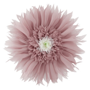 32 round pillow insert