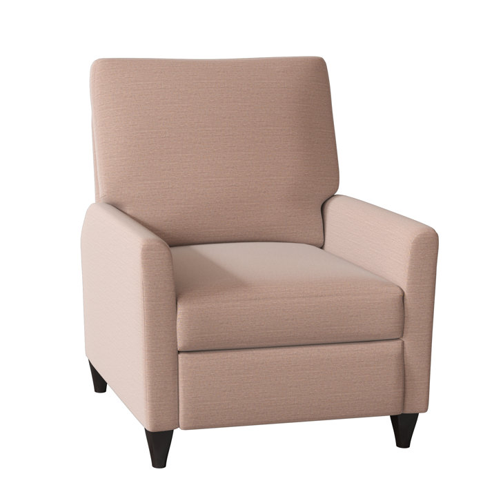 Wade Logan Ziolkowski 31" Wide Manual Recliner