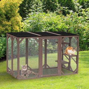 wayfair catio