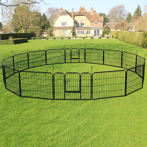 large dog fence