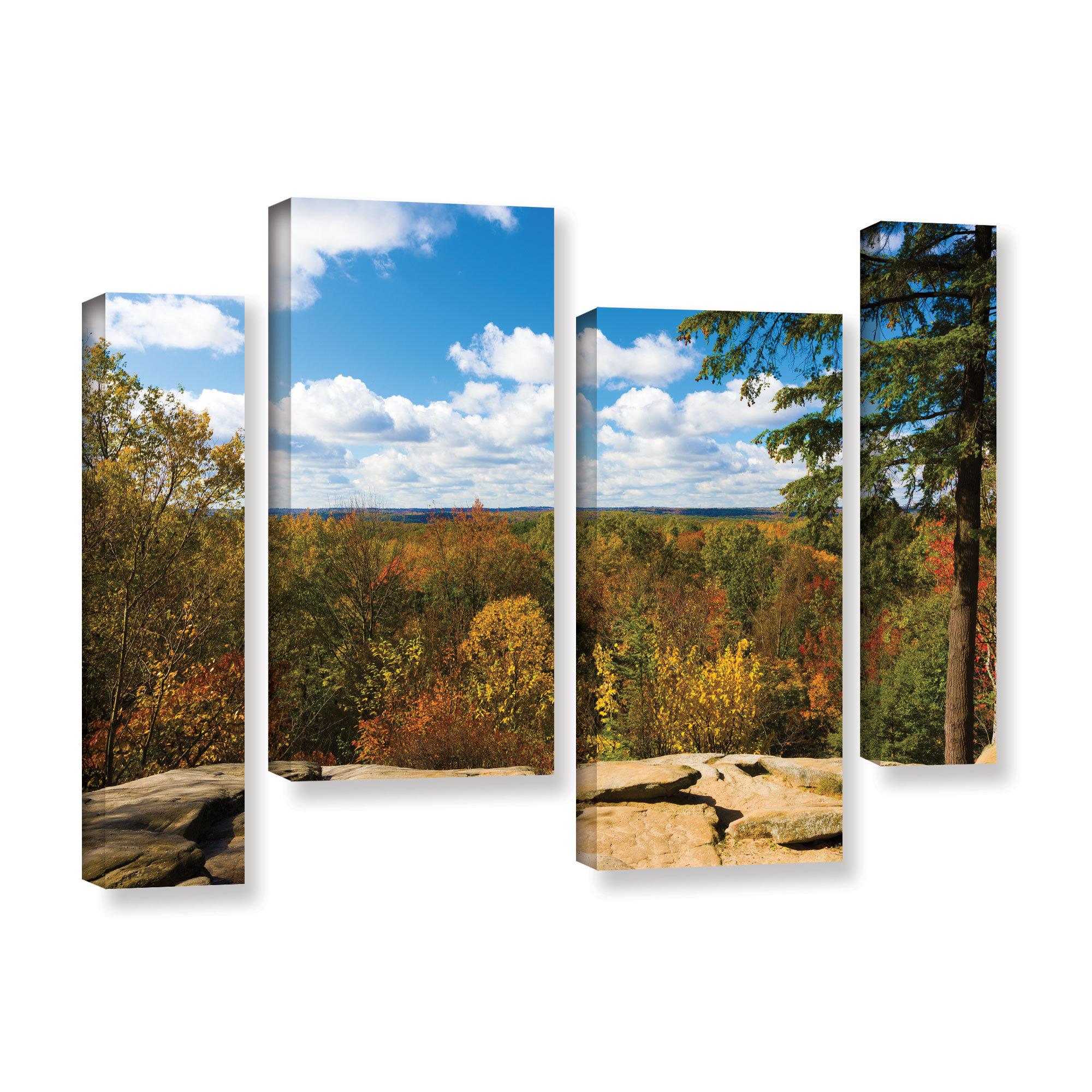 36 by 54-Inch ArtWall 4-Piece Cody Yorks Virginia Kendall 2 Floater Framed Canvas Staggered Set Artwork