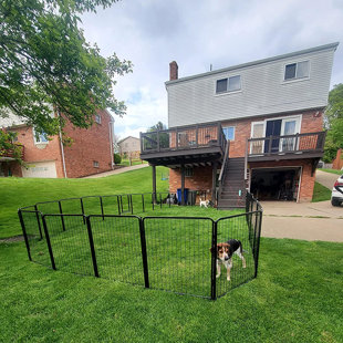 pet yard barrier