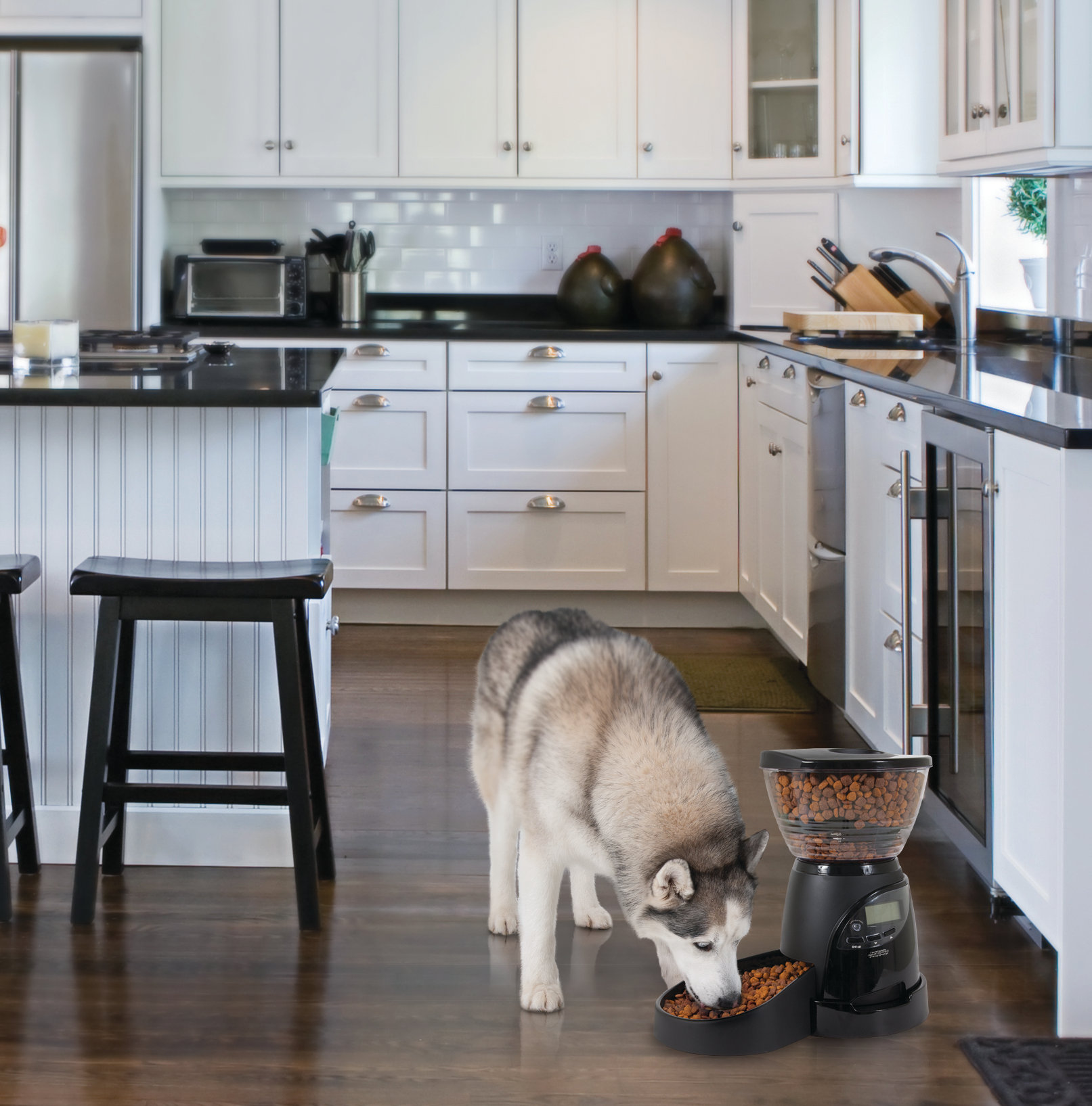 lebistro programmable feeder