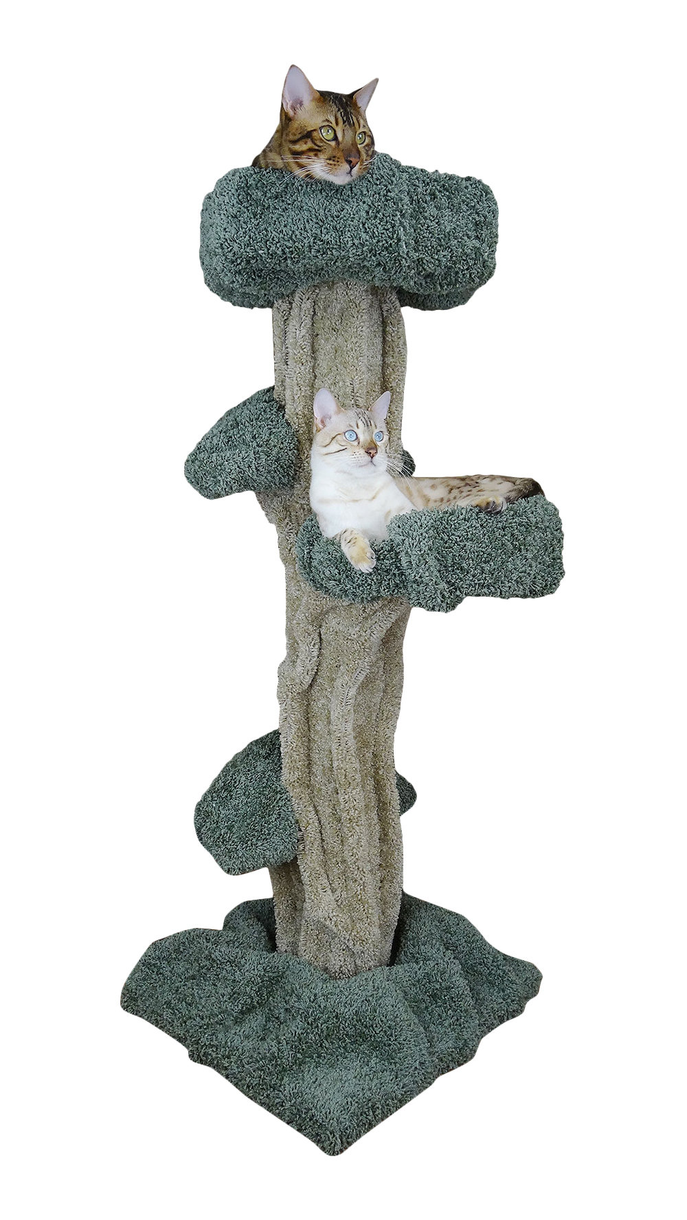 premier cat tree