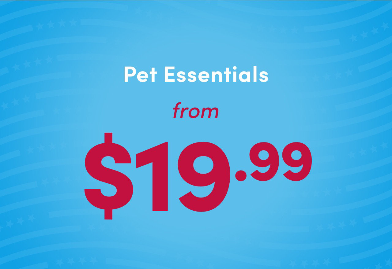 [BIG SALE] Pet Essentials Clearance You’ll Love In 2022 Wayfair