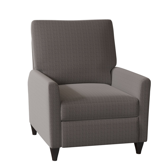 Wade Logan Ziolkowski 31" Wide Manual Recliner