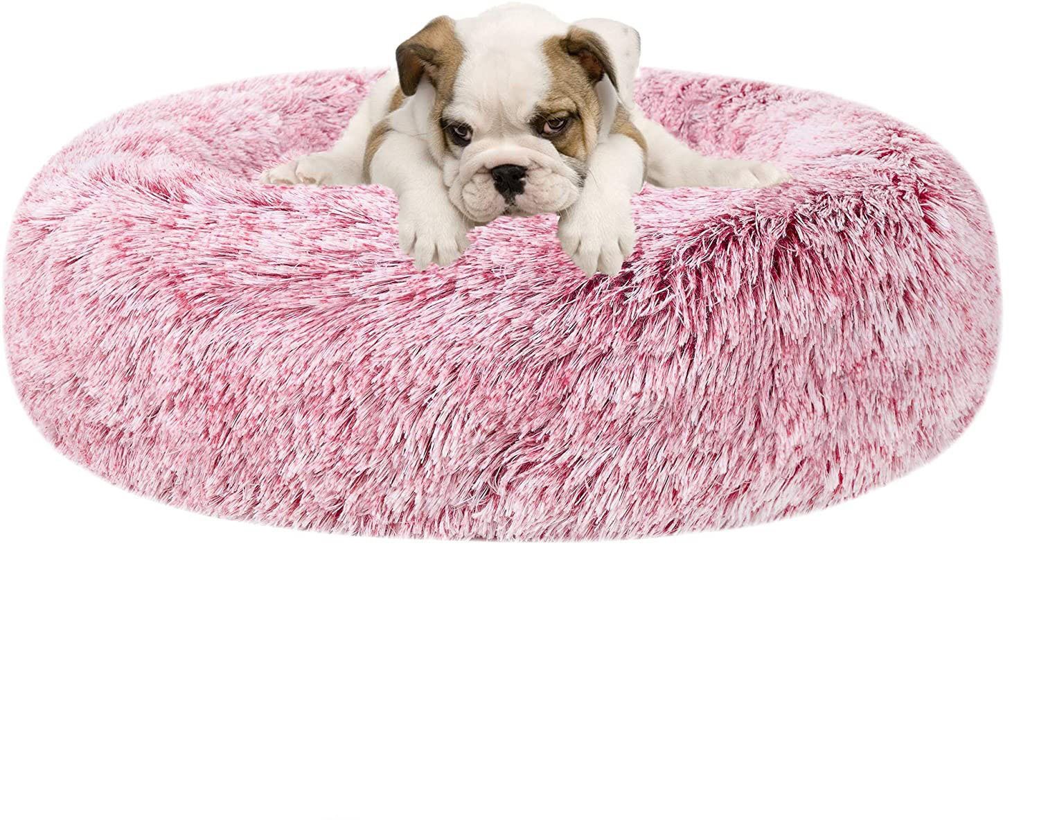 memory foam donut dog bed
