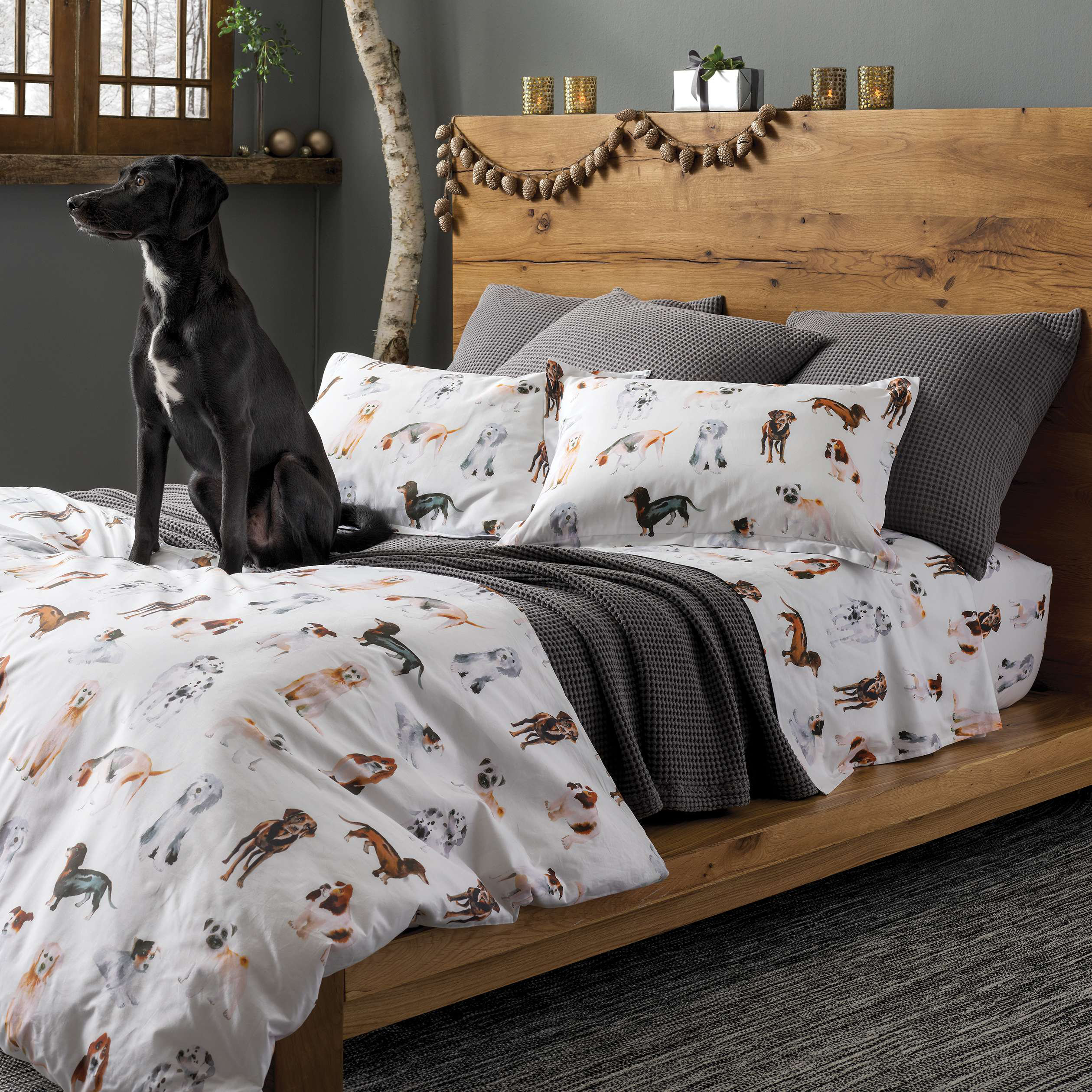 cotton dog sheets