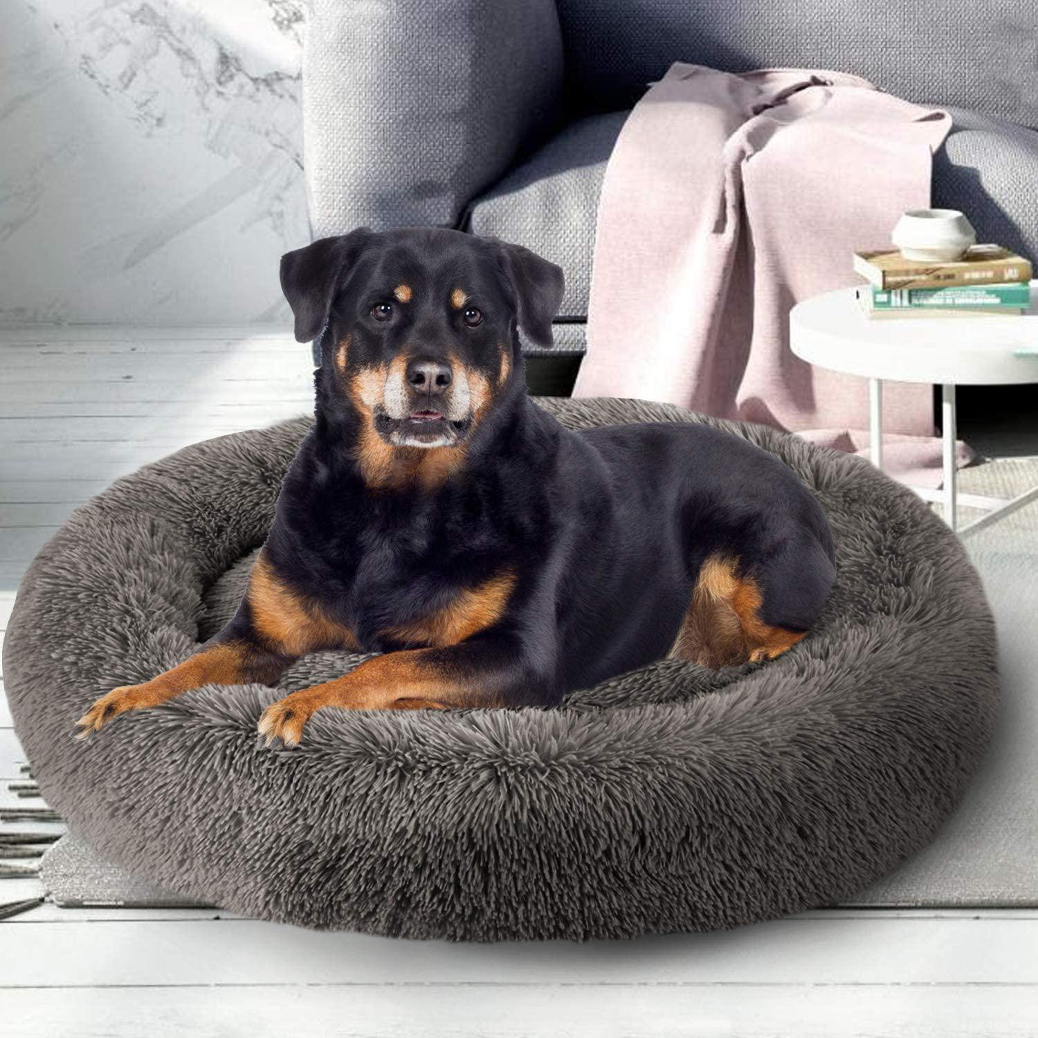 large indoor dog beds