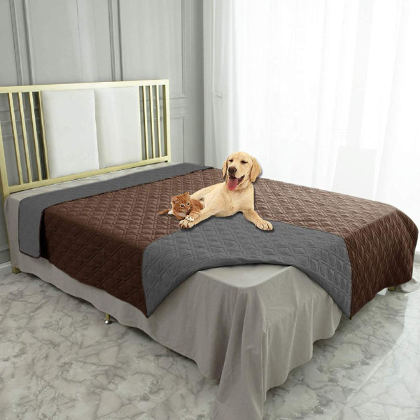 dog bed topper