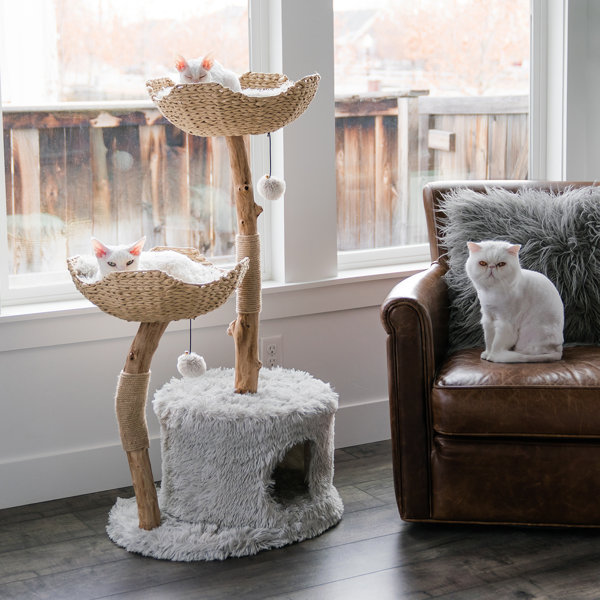 wicker cat tree