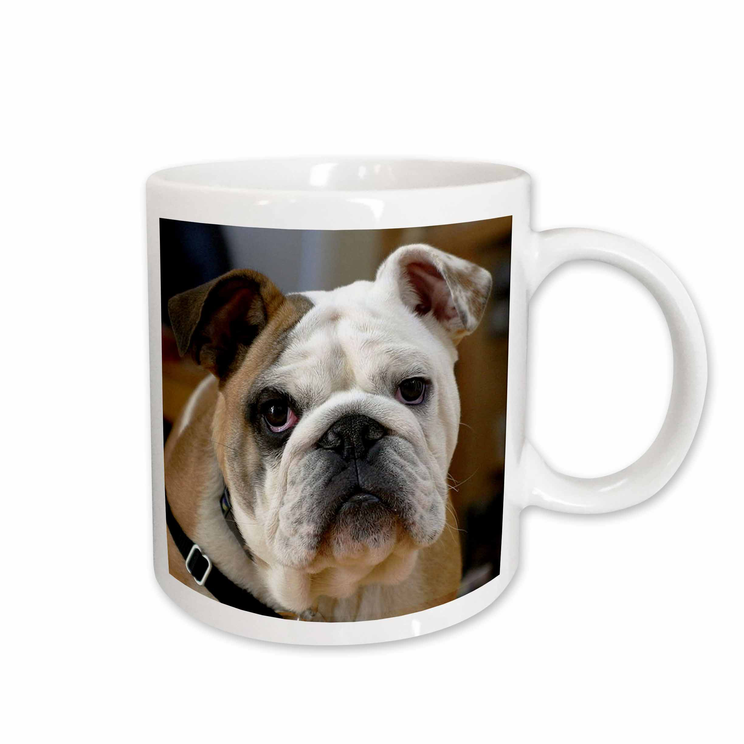 mug bulldog