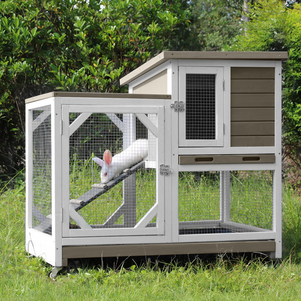 Outdoor Rabbit Hutch Wayfair