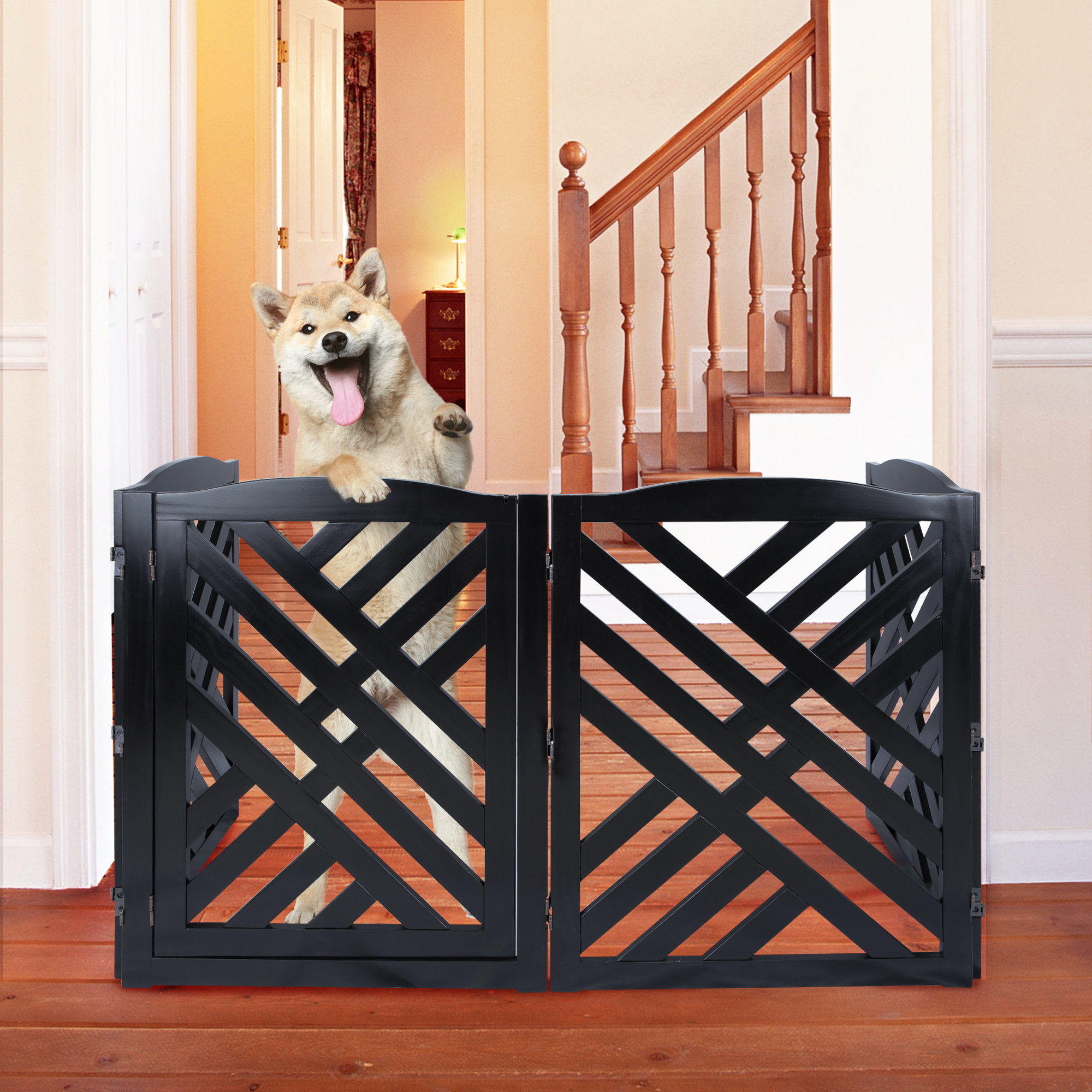 designer dog gate