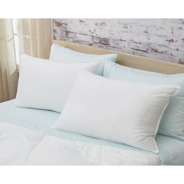 charisma down alternative pillow