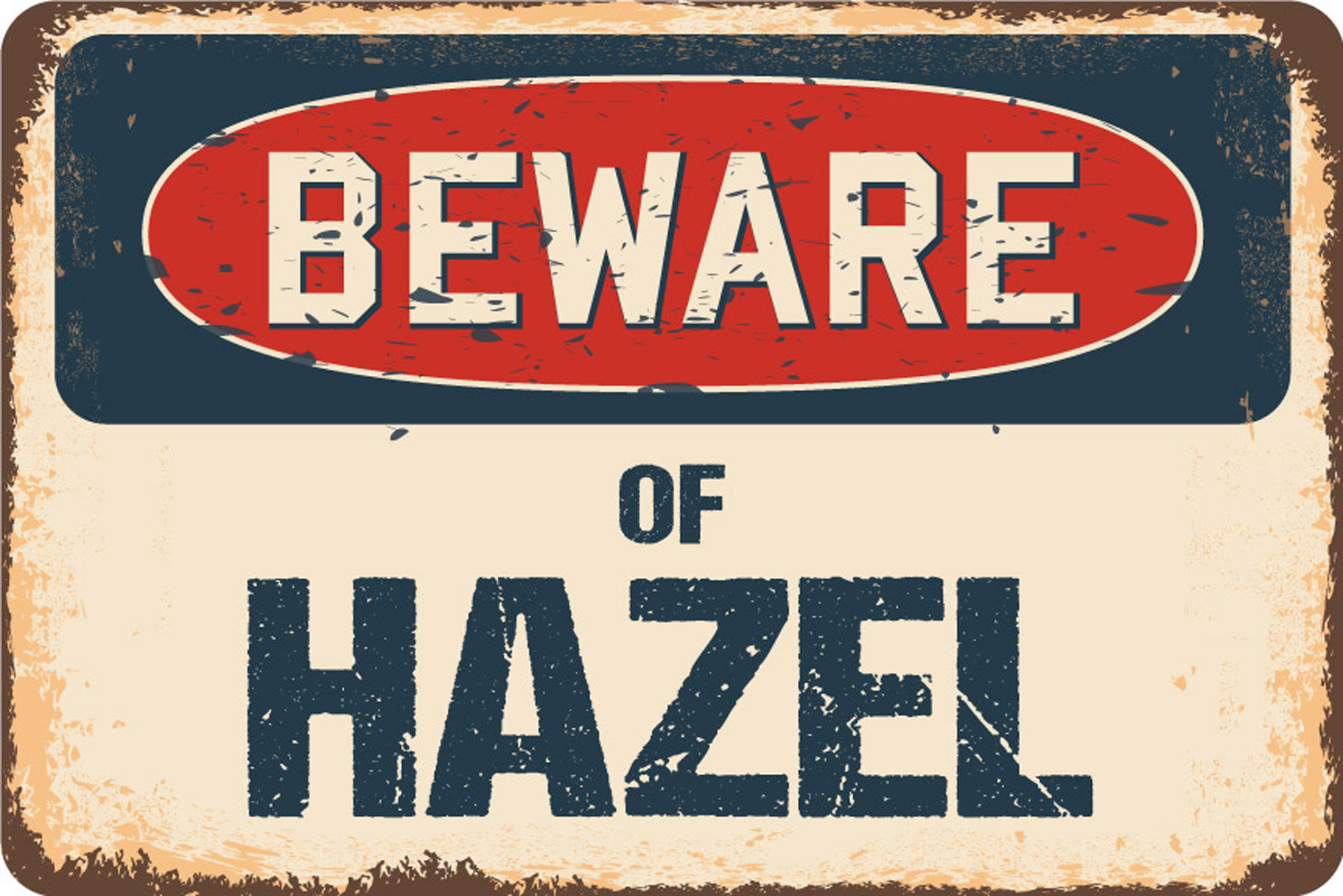 SignMission Beware of Hazel Sign | Wayfair