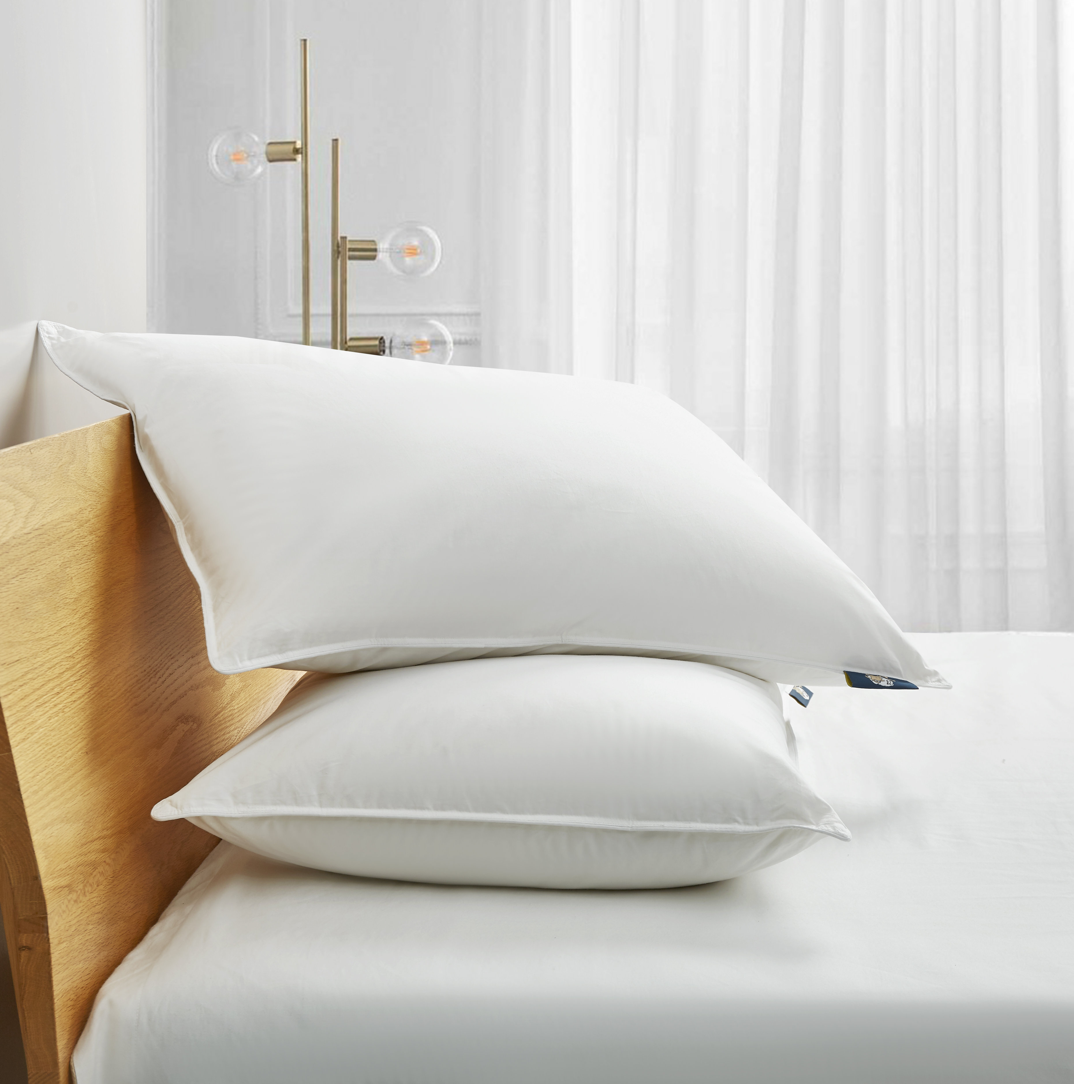 Serta 233 Thread Medium Down Blend Bed Pillow Reviews Wayfair