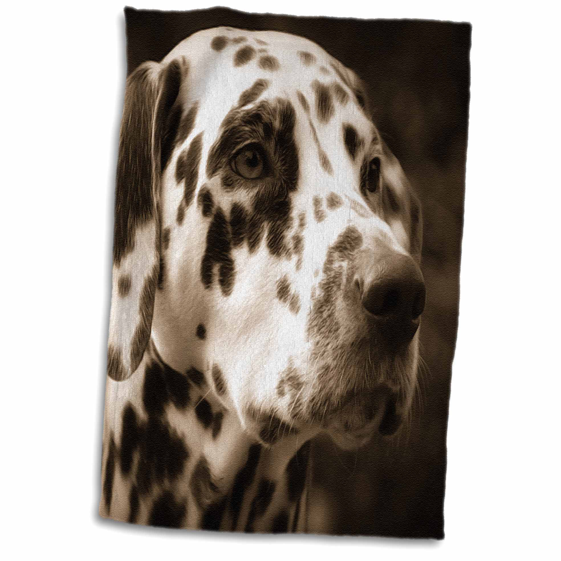 dalmatian towel