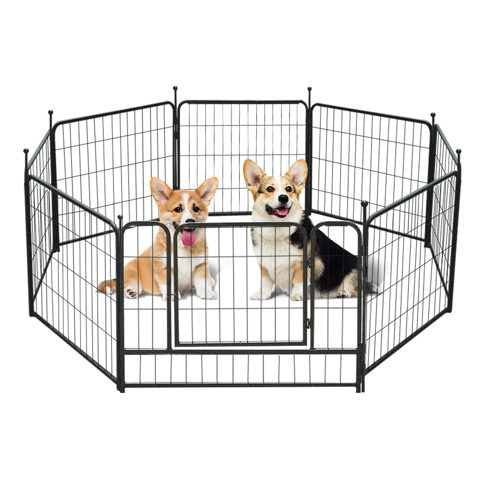dog play cage