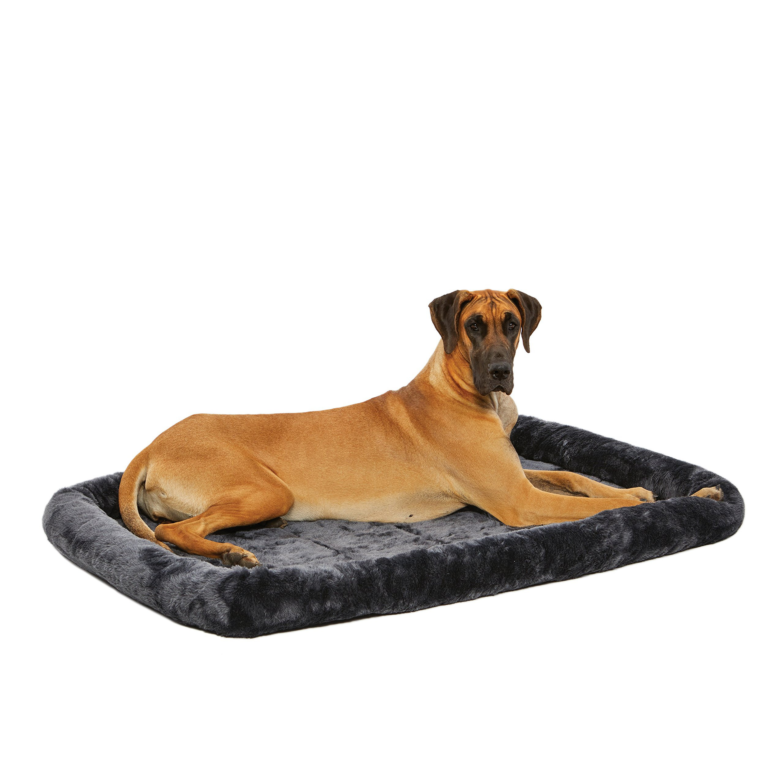 metal dog bed