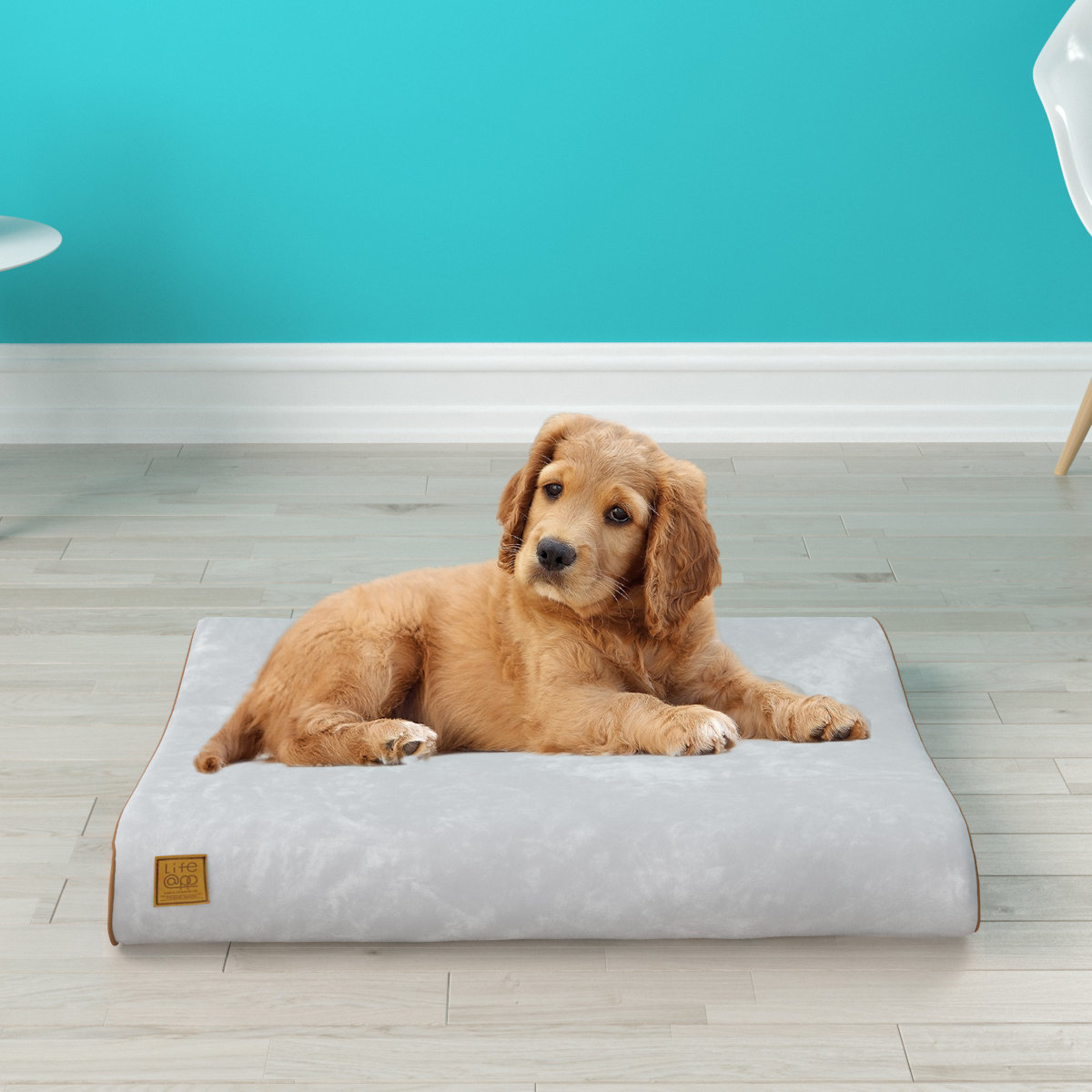 breathable dog bed