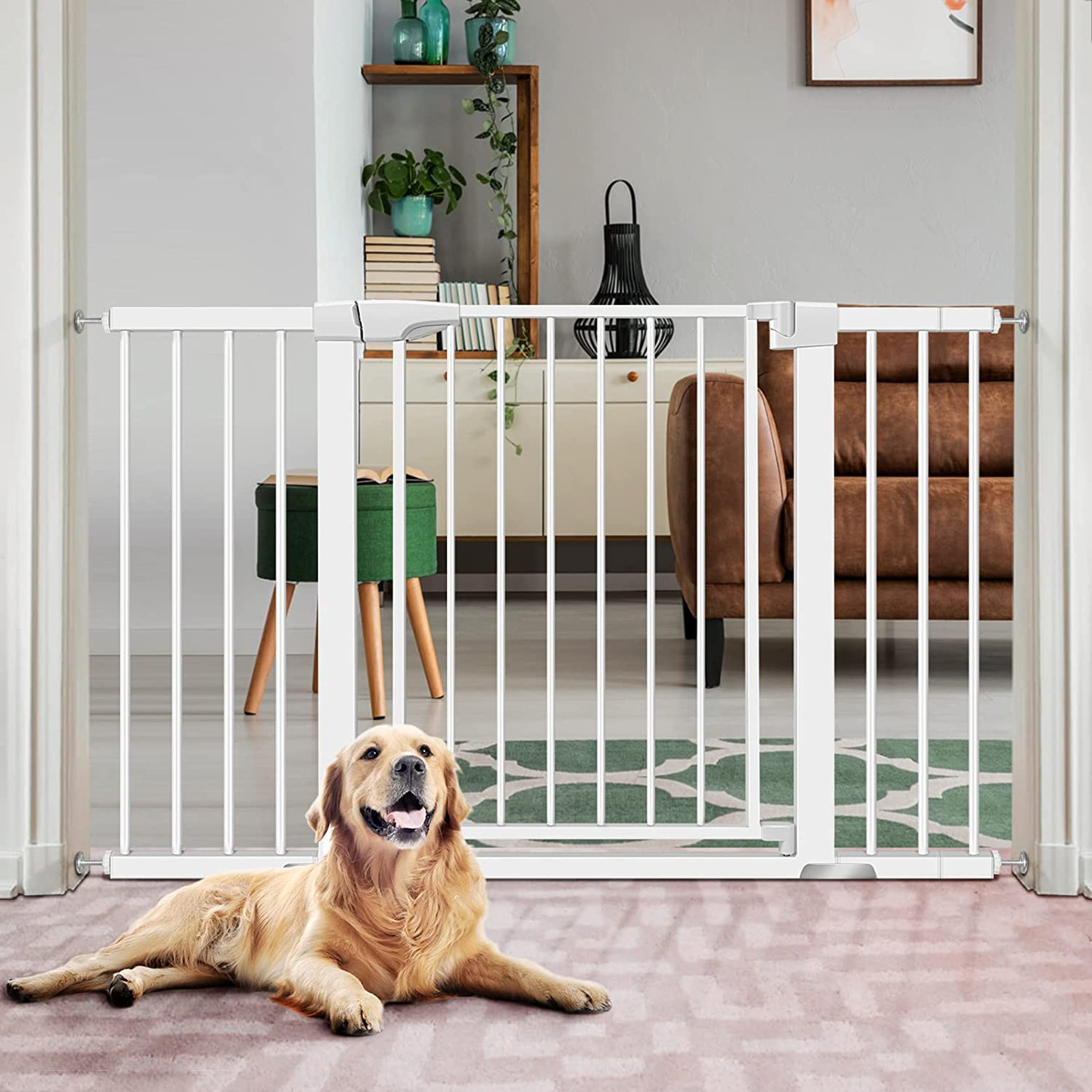 child dog gate