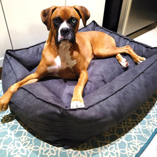 buddy rest bed