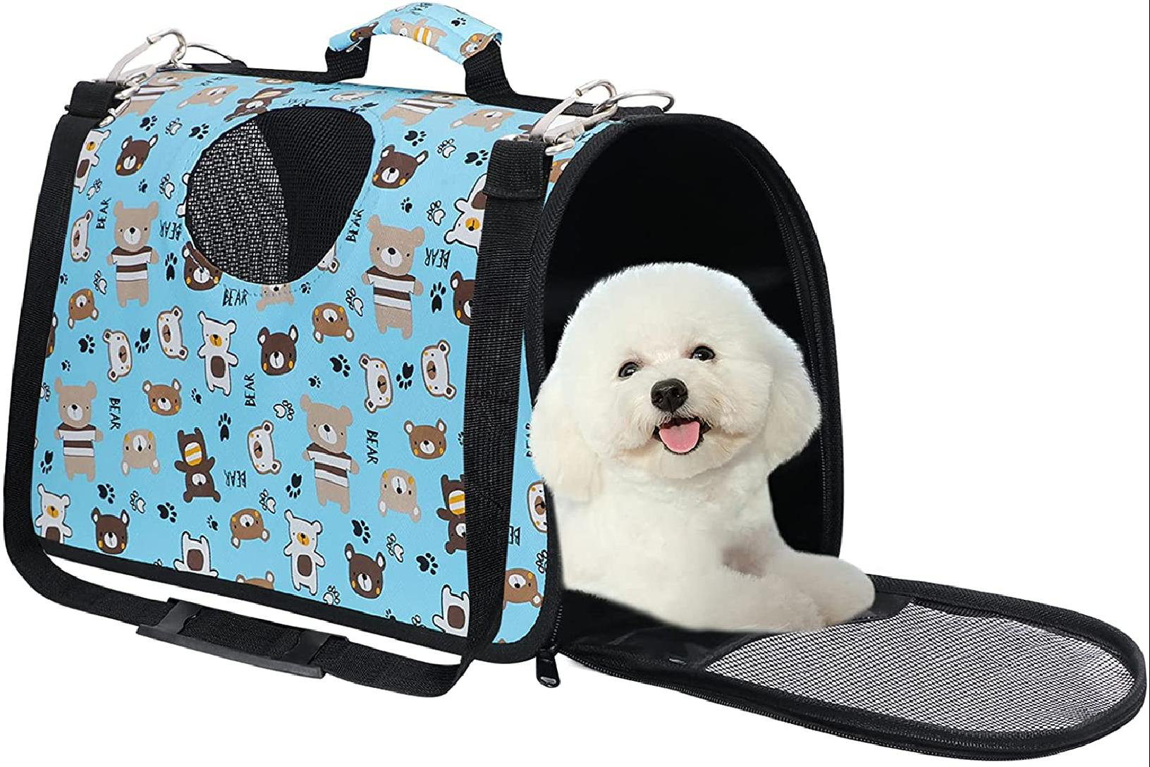 lightweight dog carrier